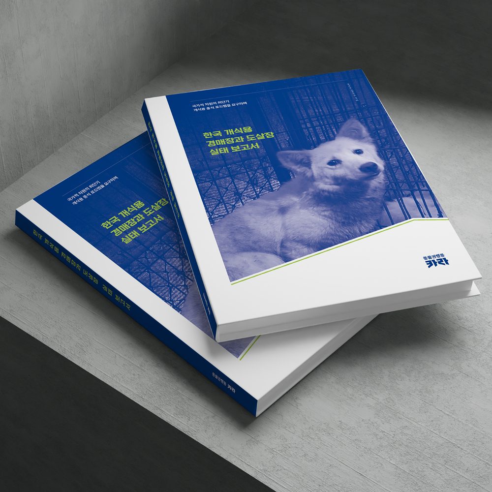 [동물권행동 카라] 실태 보고서